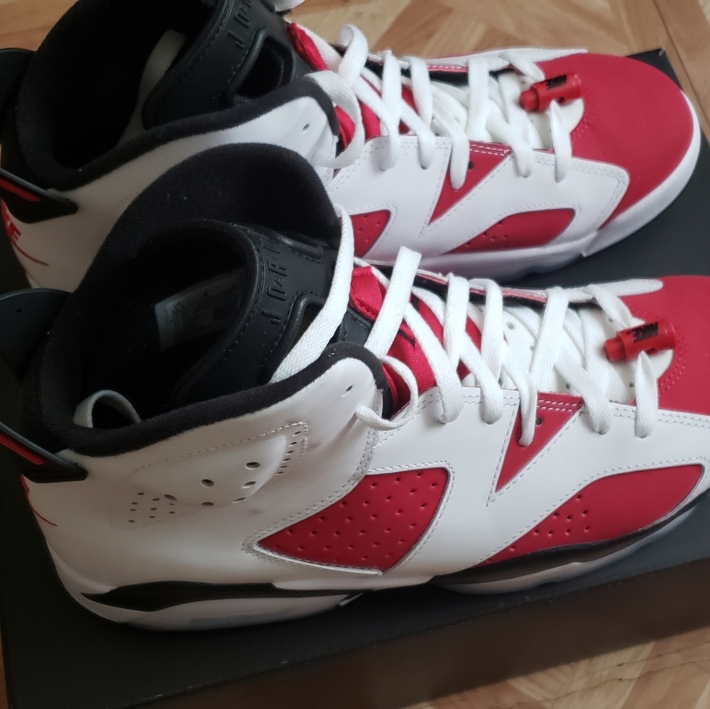 Jordan 6 (Carmine)